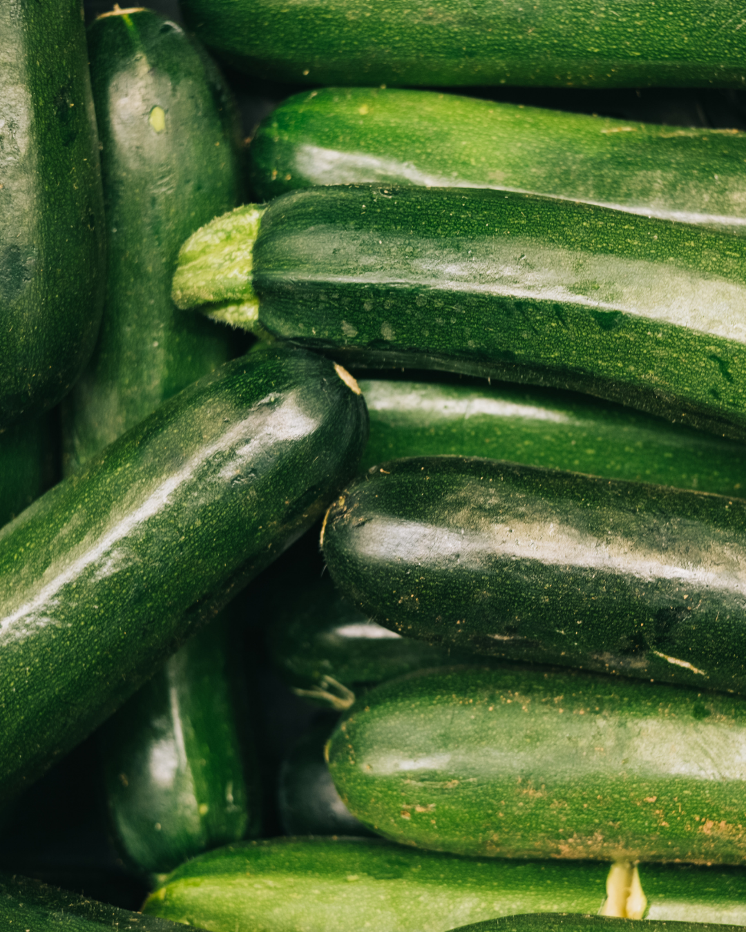 Zucchini Meatloaf with Apricot Glaze | Garden to Table Recipe