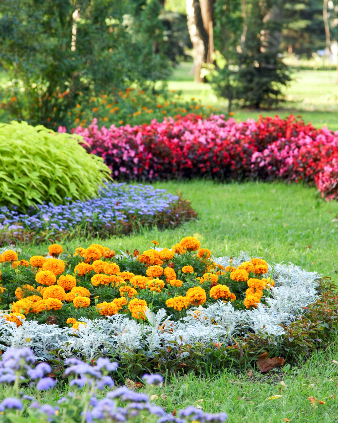 7 Simple Tips for a Well Designed Garden  gemmellsgardencentre