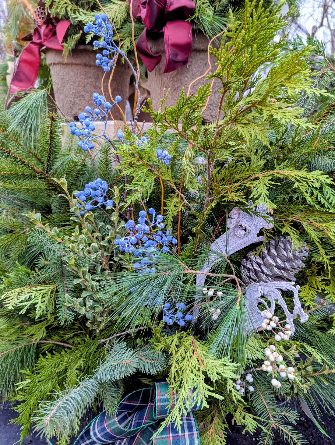 Winter Gardening at Gemmell's Garden Center