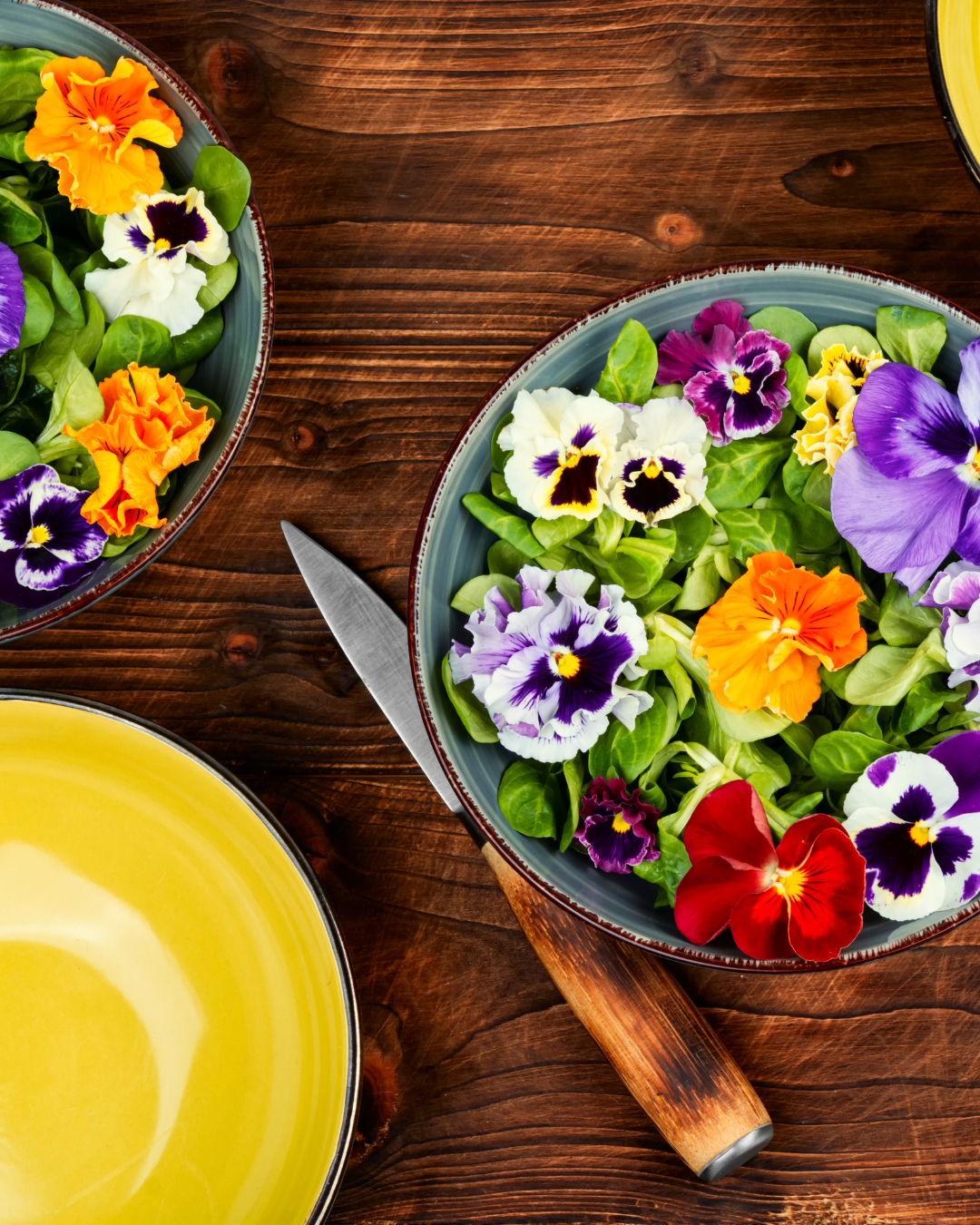 Homegrown Fresh Fruits, Vegetables & Herbs | Ottawa Gardening