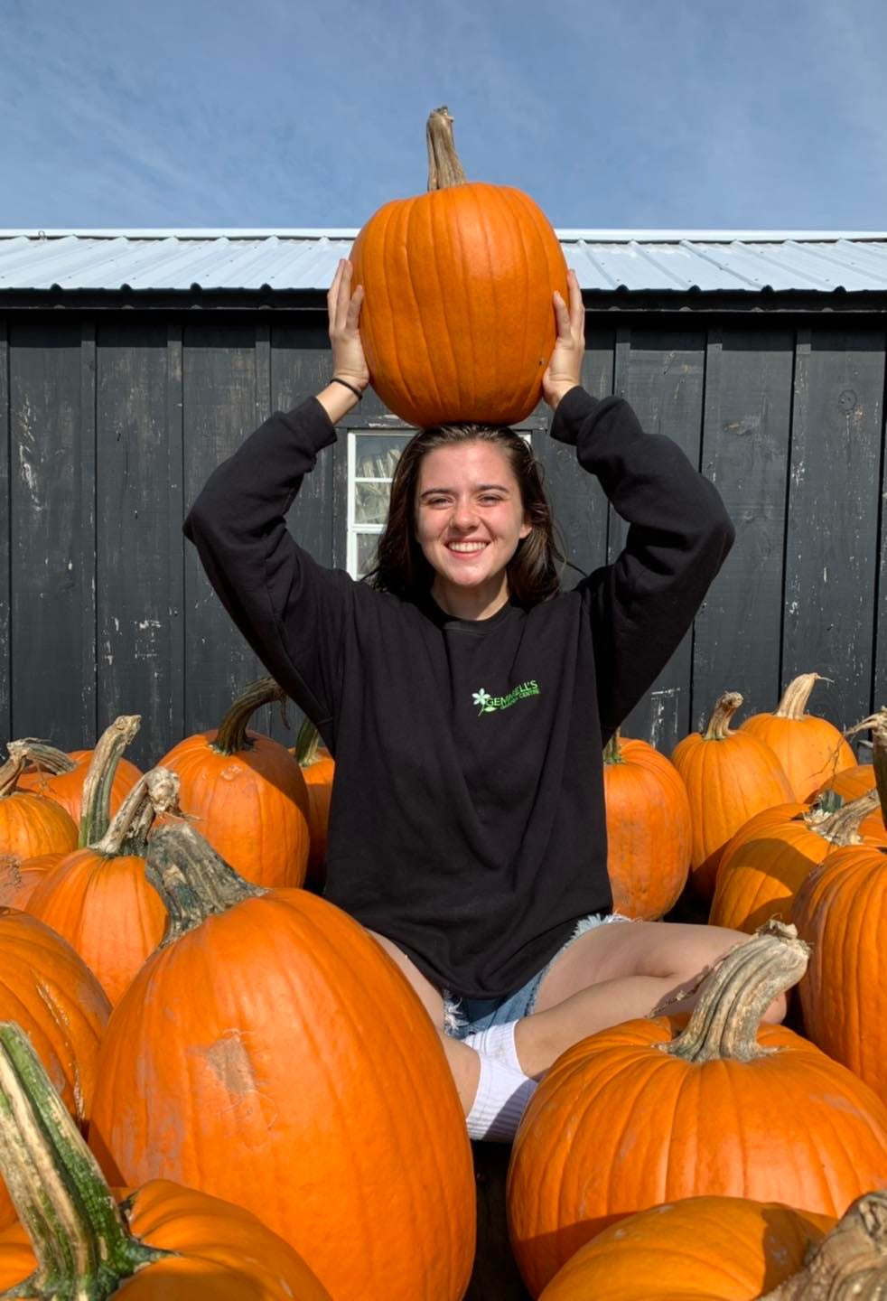 Pumpkins available at Gemmell's Garden Center in Brockville