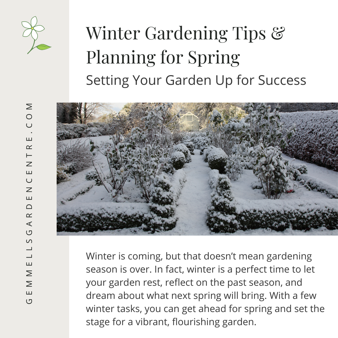 Winter Gardening Tips and Planning for Spring | Gemmell's Garden Centre