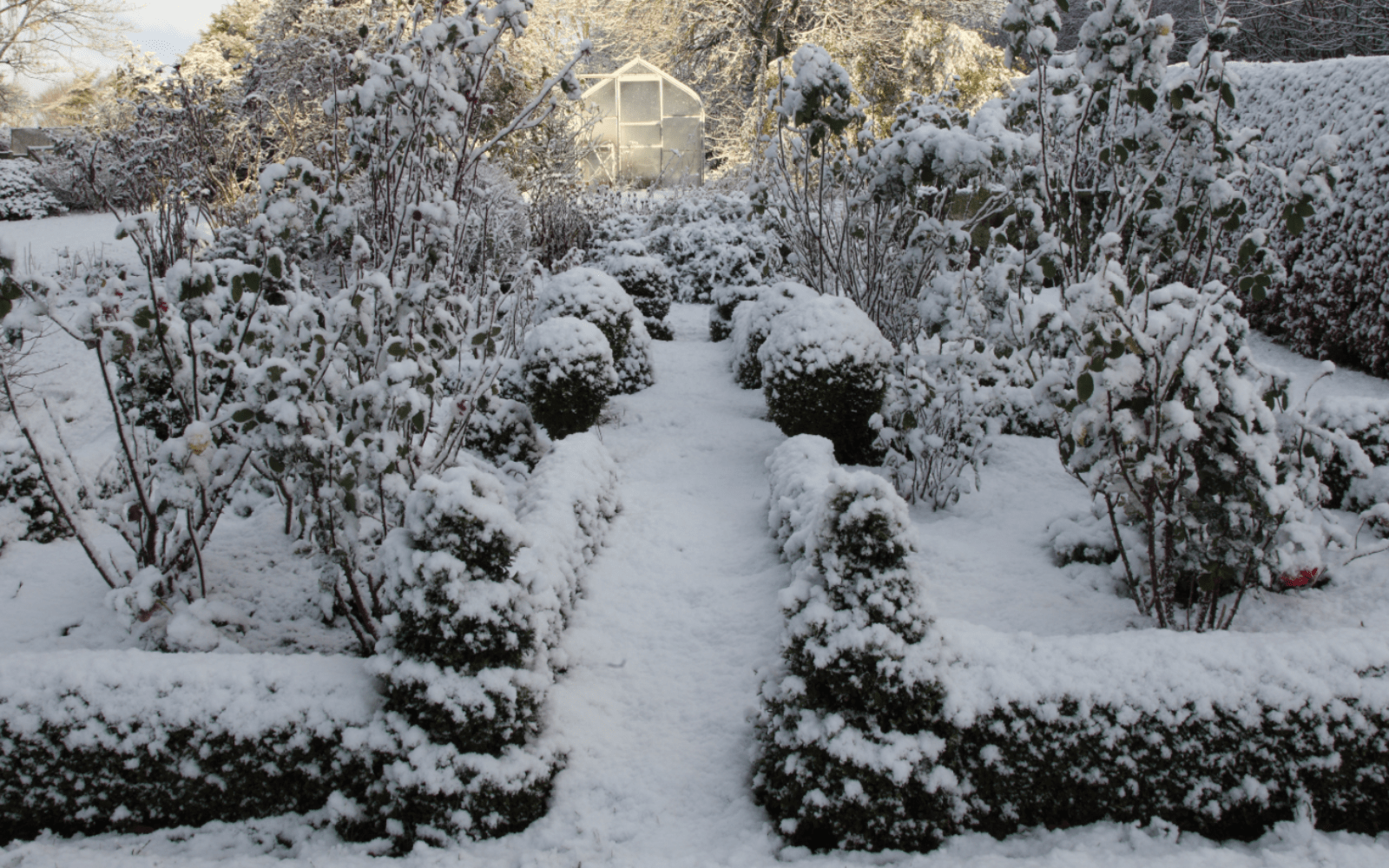 Winter Gardening Tips & Planning for Spring | Gemmell's Garden Centre Smiths Falls Brockville Ottawa